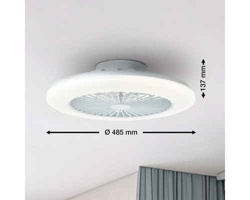 Ventilateur de plafond avec éclairage, diamètre 485 millimètres, hauteur 137 millimètres