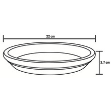 Image d'une soucoupe avec des dimensions de 22 cm de large et 3,7 cm de haut.