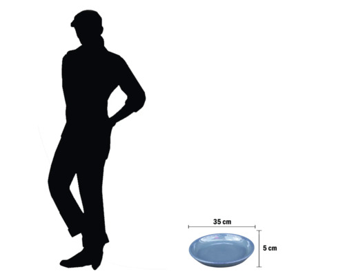 Coupe décorative d'environ 35 cm de diamètre et 5 cm de haut