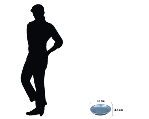 Plat de service de 30 cm de diamètre et 4,5 cm de hauteur