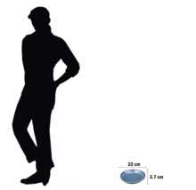 Assiette décorative de 22 centimètres de diamètre et 3,7 centimètres de hauteur