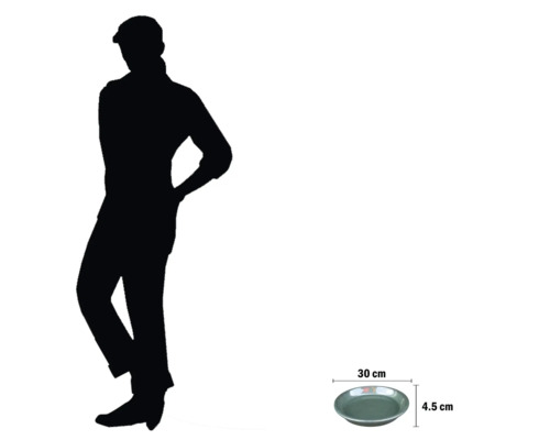 Coupe décorative, diamètre 30 cm, hauteur 4,5 cm