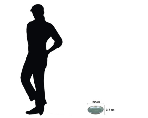 Dimensions d'une assiette en céramique : 22 centimètres de diamètre et 3,7 centimètres de hauteur.