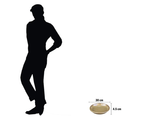 Bol, diamètre 30 cm, hauteur 4,5 cm, avec indication de la taille