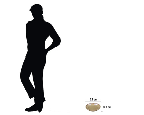 Plat décoratif mesurant 22 centimètres sur 3,7 centimètres.