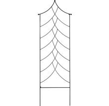 Support à plantes grimpantes
