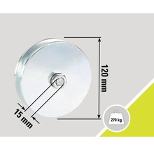 Rolle mit den Maßen 120 mm x 15 mm und einer Tragfähigkeit von 270 kg