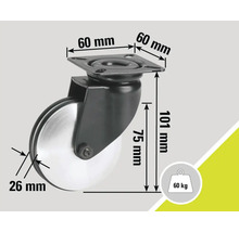 Möbelrolle mit Platte, Abmessungen und Belastbarkeit bis 60 kg