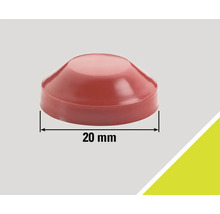 Capuchon de protection en plastique, 20 millimètres de diamètre