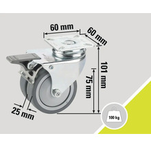 Roue pivotante avec frein et dimensions : plaque de montage 60 mm x 60 mm, hauteur totale 101 mm, hauteur de montage 75 mm, diamètre de roue 25 mm, charge maximale 100 kg