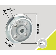 Poulie avec les dimensions 36 mm, 100 mm et 20 mm, charge maximale 800 kg