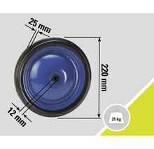 Roue avec dimensions de 220 mm de diamètre, 25 mm de largeur de pneu et alésage de 12 mm pour une charge maximale de 25 kg