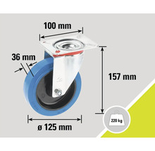 Lenkrolle mit den Massen 100 Millimeter mal 100 Millimeter, Raddurchmesser 125 Millimeter, Radbreite 36 Millimeter und Traglast 220 Kilogramm.