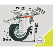 Roue pivotante avec dispositif de blocage et indications de dimensions : 135 mm, 105 mm, 260 mm, 225 mm, 50 mm, capacité de charge 250 kg