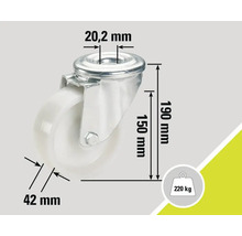 Roue pivotante avec des dimensions de 20,2 mm, 150 mm, 190 mm et 42 mm, capacité de charge 220 kg