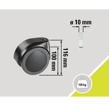 Möbelrolle mit den Massangaben 100 mm Höhe, 116 mm Länge, 10 mm Durchmesser und maximaler Traglast von 120 kg