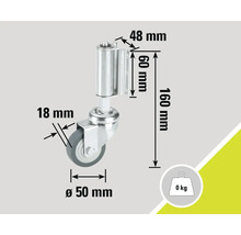 Roue de meuble avec des dimensions de 50 millimètres de diamètre, 18 millimètres de largeur et une capacité de charge de 0 kilogramme