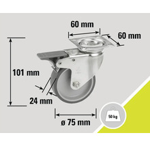 Roue pivotante avec frein, diamètre de roue 75 mm, capacité de charge 50 kg