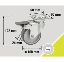 Roue pivotante avec frein et dimensions de 122 mm de hauteur, 100 mm de diamètre de roue et 55 kg de capacité de charge