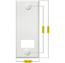 Plaque de recouvrement avec ouverture, dimensions 134 x 56 millimètres