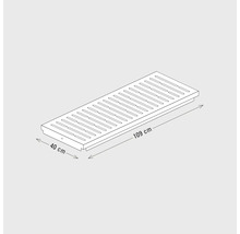 Skizze eines 109 Zentimeter langen und 40 Zentimeter breiten Ablauftrogs