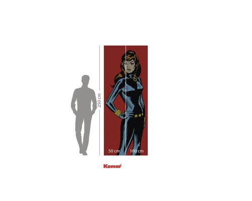 Papier peint photo Komar avec personnage de bande dessinée, 250x100 cm