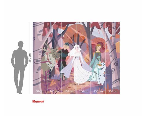 Komar Fototapete mit Frozen-Motiv und Figuren in einem Wald, Abmessungen 250 cm Höhe mal 300 cm Breite