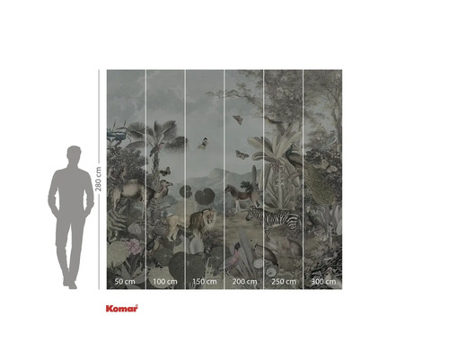 Papier peint photo avec motif jungle et animaux comme des lions, des zèbres et des oiseaux