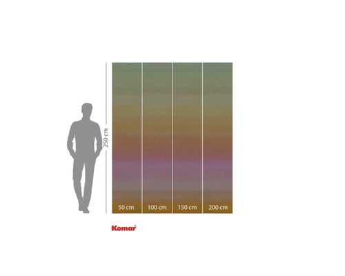 Papier peint photo Komar avec dégradé de couleurs et dimensions