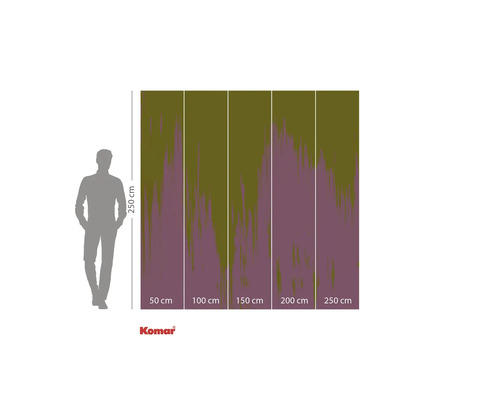 Papier peint photo Komar mesurant 250 sur 250 centimètres