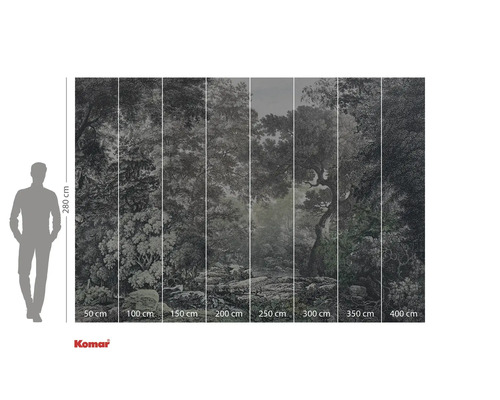 Fototapete mit Waldmotiv und Größenangaben.