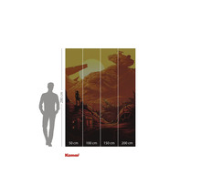 Papier peint photo avec paysage désertique, personne et vaisseau spatial