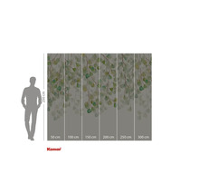 Papier peint photo avec feuilles d'eucalyptus et indications de taille