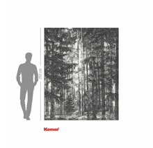 Papier peint photo avec motif de forêt et indications de dimensions