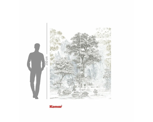 Papier peint photo avec motif de forêt et indication de hauteur 250 cm