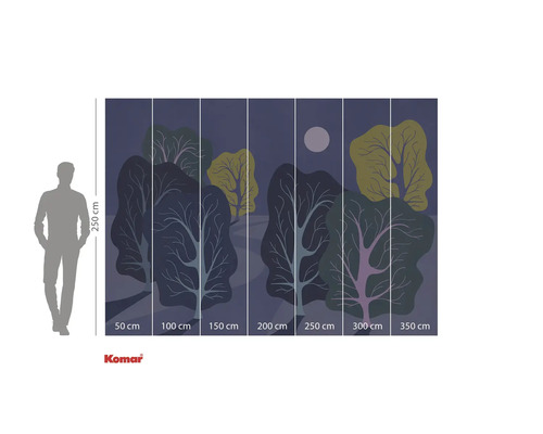 Papier peint photo avec motif de forêt de nuit et indications de taille