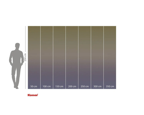 Größenangaben einer Fototapete mit einer Höhe von 250 cm und Breiten von 50 cm bis 350 cm.