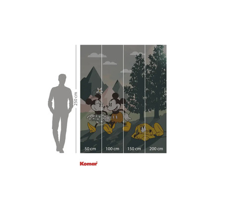 Papier peint photo Komar Mickey Mouse et Pluto, dimensions 250 x 200 centimètres