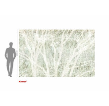 Papier peint photo Komar avec motif de forêt et indication de taille