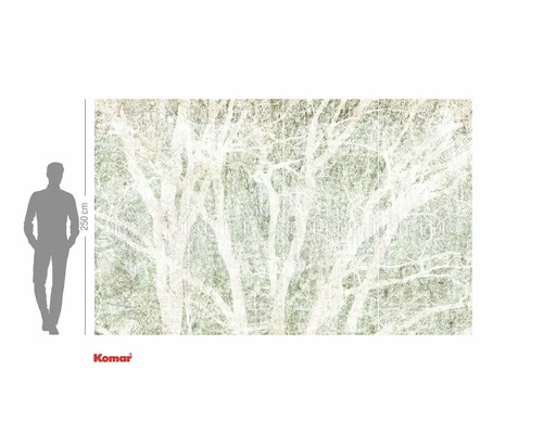 Papier peint photo Komar avec motif de forêt et indication de taille