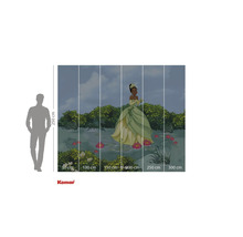 Papier peint photo avec une scène du film La Princesse et la Grenouille et indications de taille