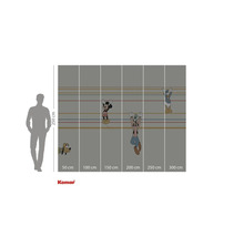 Fototapete mit Motiven von Micky Maus, Goofy, Donald Duck und Pluto