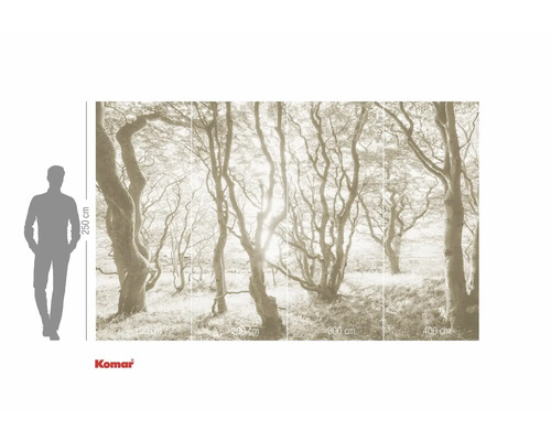 Fototapete mit Waldmotiv und Größenangaben