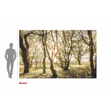 Papier peint photo Komar avec motif de forêt et indications de taille