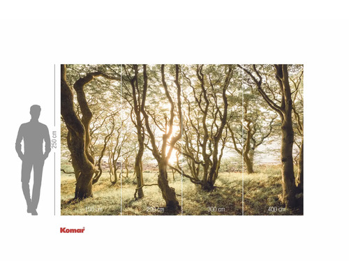 Papier peint photo Komar avec motif de forêt et indications de taille