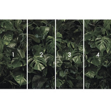 Papier peint photo avec feuilles de Monstera, divisé en quatre panneaux numérotés