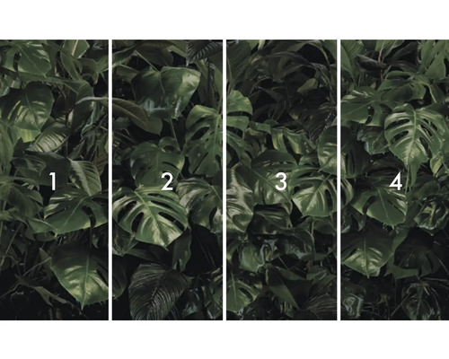 Papier peint photo avec feuilles de Monstera, divisé en quatre panneaux numérotés