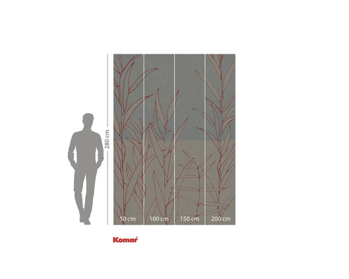 Papier peint photo avec motif de plantes et indications de taille