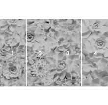 Fototapete mit Sukkulentenmotiv, bestehend aus vier Teilen