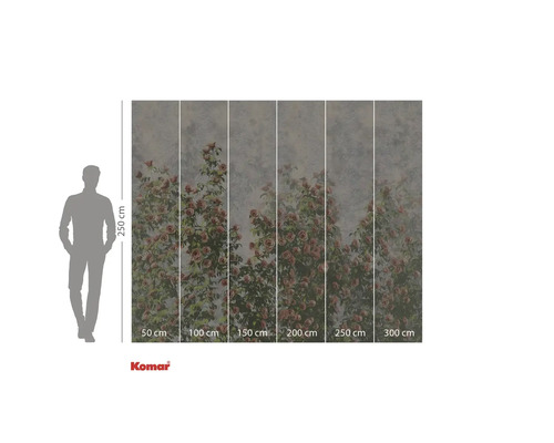 Komar Fototapete mit Rosenmotiv und Maßangaben.